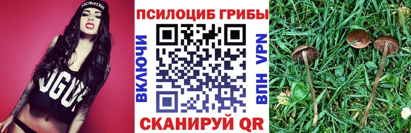 Галлюциногенные грибы мухоморы  цена наркотик  это телеграм  Балашиха 